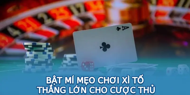 Bật mí mẹo chơi xì tố thắng lớn cho cược thủ