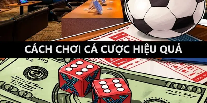 Cách cá cược hiệu quả sau khi giải mã chơi cá độ luôn thua